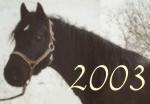 ThumbNail2003 ThumbNail2003
