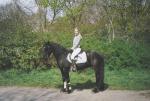 Alte Bult 2004