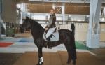 "Pferd und Jagd Messe" 2004