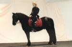 "Pferd und Jagd" Messe 2005