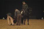 Bilder aus der Show  2006