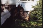 Eine schicke alte Dame :-)