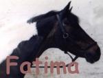 Fatima Fatima