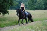 Galopp auf der Rennbahn